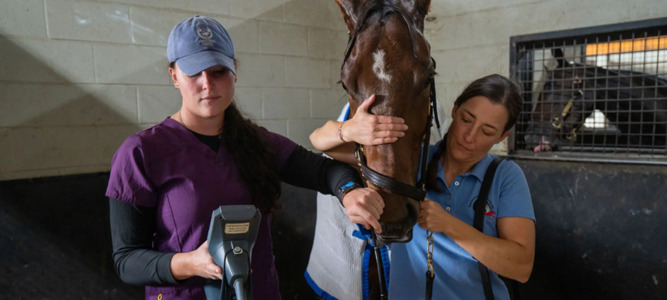 A staff member holding a horse steady while another staff member reviews and imaging device